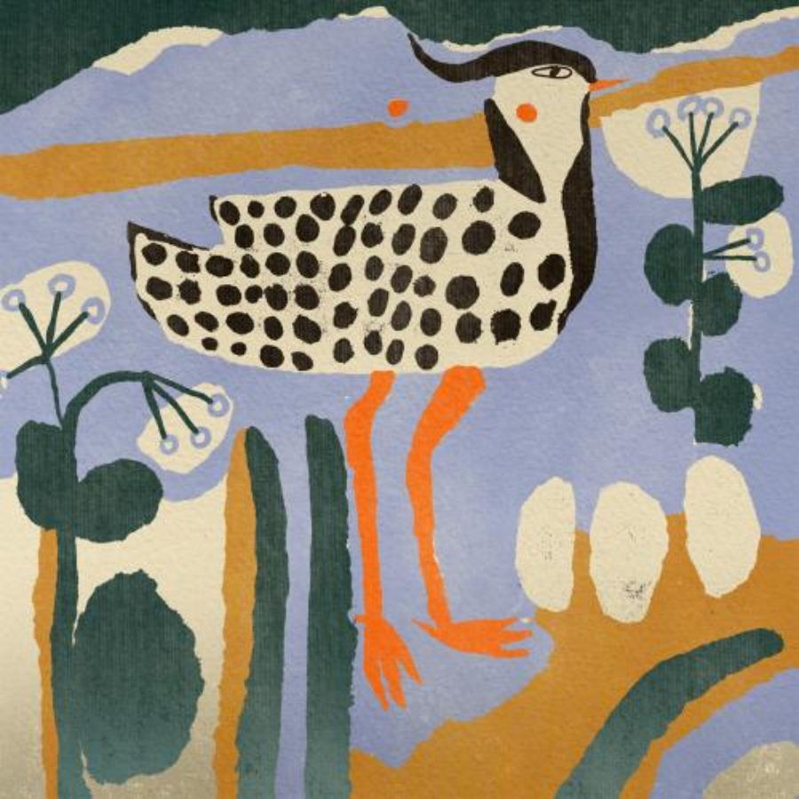 Spotted Bird Poster (50x50cm)